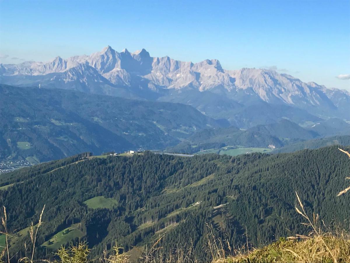 Appartementhaus Sky Lodge 알텐막팀퐁와 외부 사진